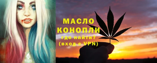 крисы Абаза