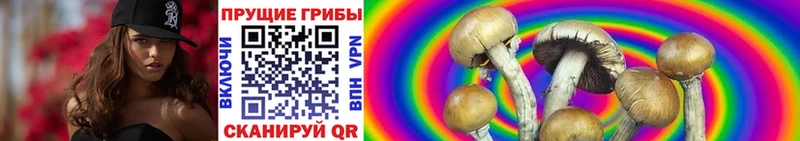 Галлюциногенные грибы MAGIC MUSHROOMS  Стерлитамак 