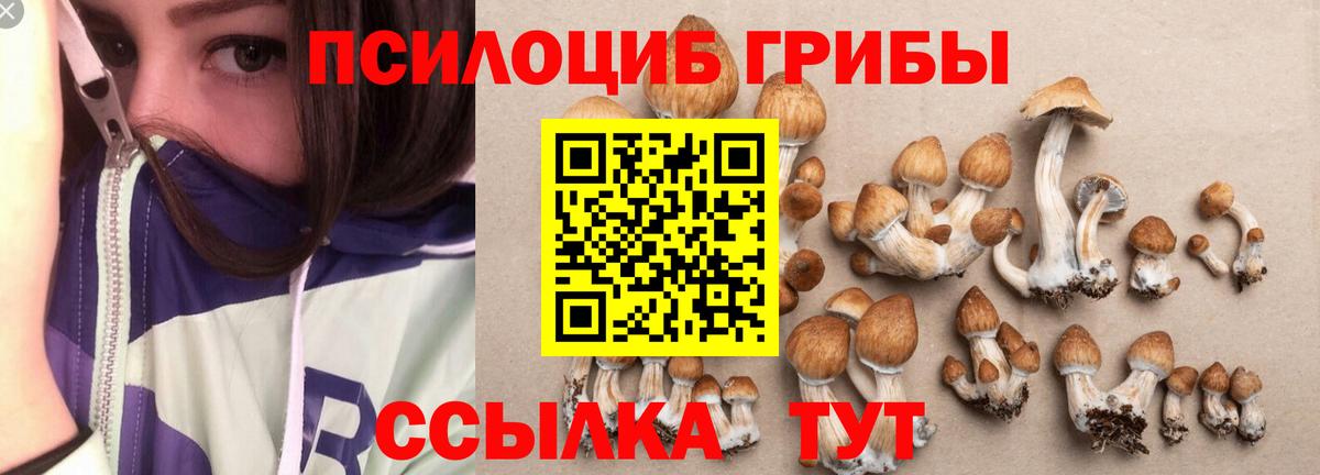 Псилоцибиновые грибы мицелий  Вход с VPN  Стерлитамак 
